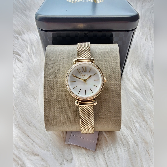 Fossil Watch Original Brand New With Tag - Picture 1 of 9